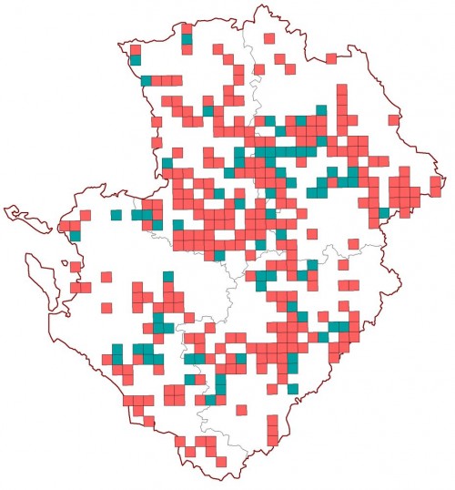 ALYTE_GRILLE_1990_2015_PC