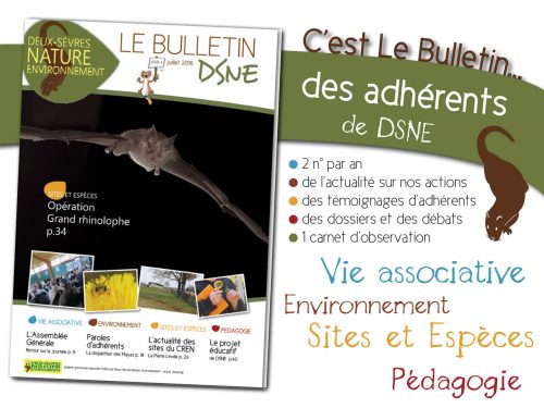 images-bulletin-dsne