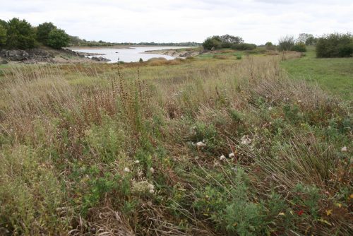 Cebron : dossier vidange 